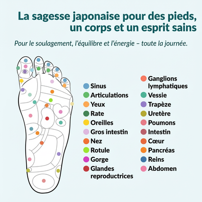 MagnaFit™ Semelles Magnétiques | Perdez du Poids à CHAQUE PAS